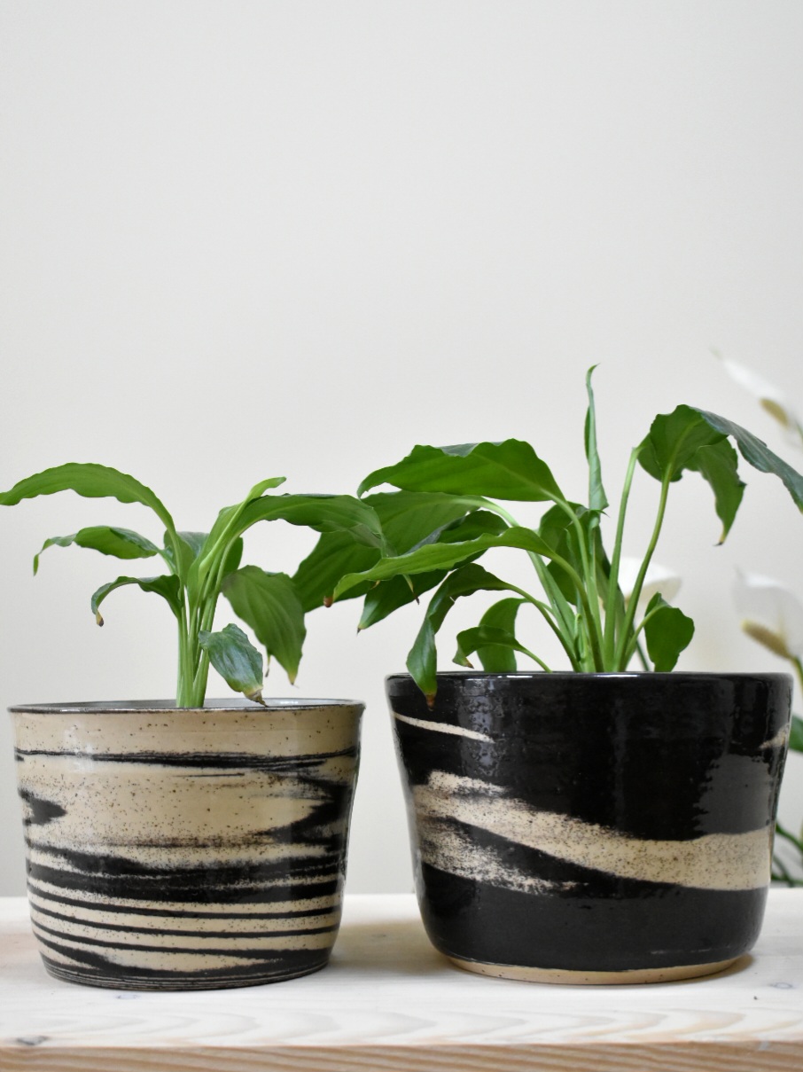 Marbled Flowerpot Duo