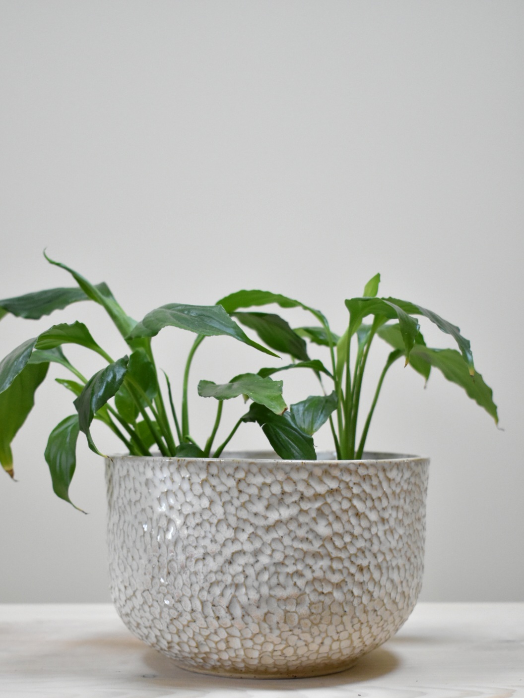 Carved Flowerpot