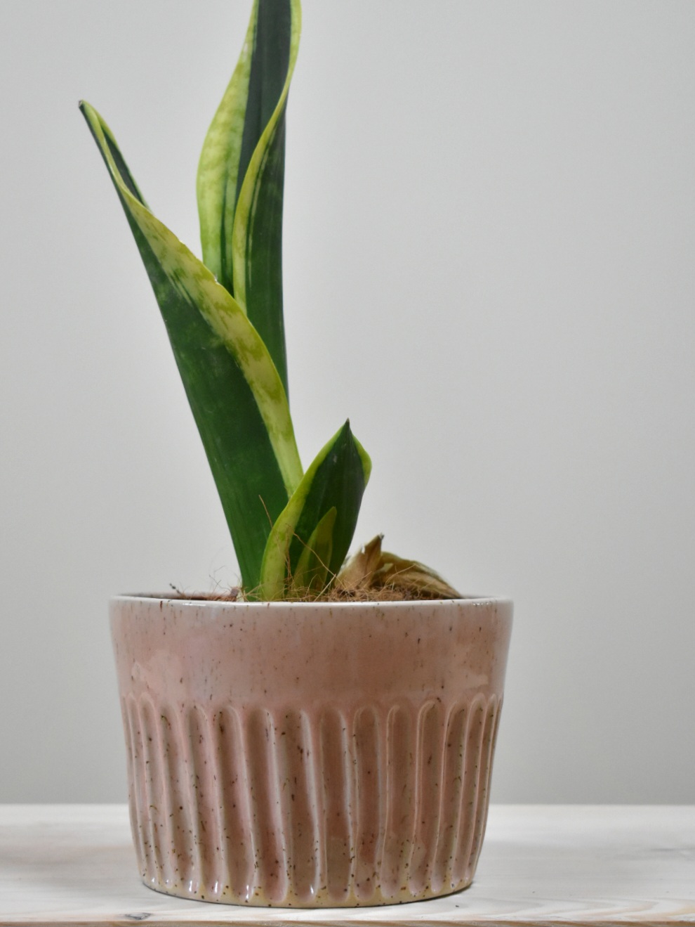 Pink Flowerpot