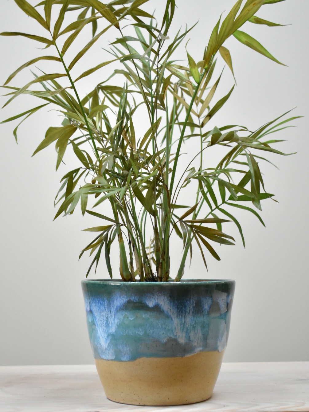Blue Turquoise Flowerpot