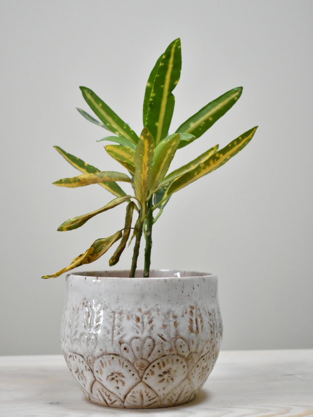 Carved Flowerpot
