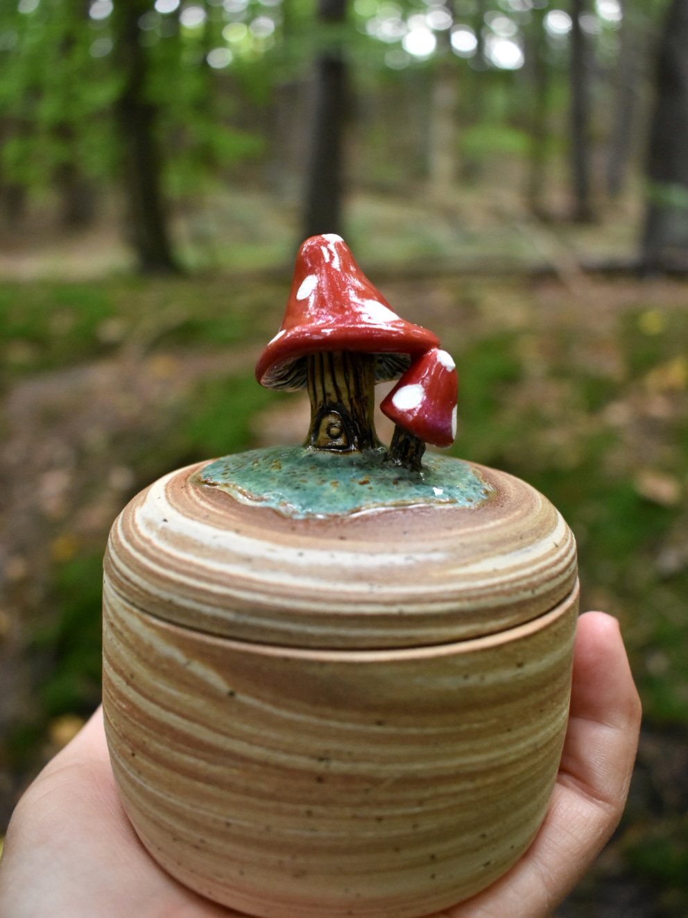 Mushroom Treasure Box - Image 1